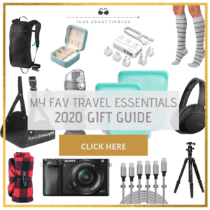 Travel gift guide 2020