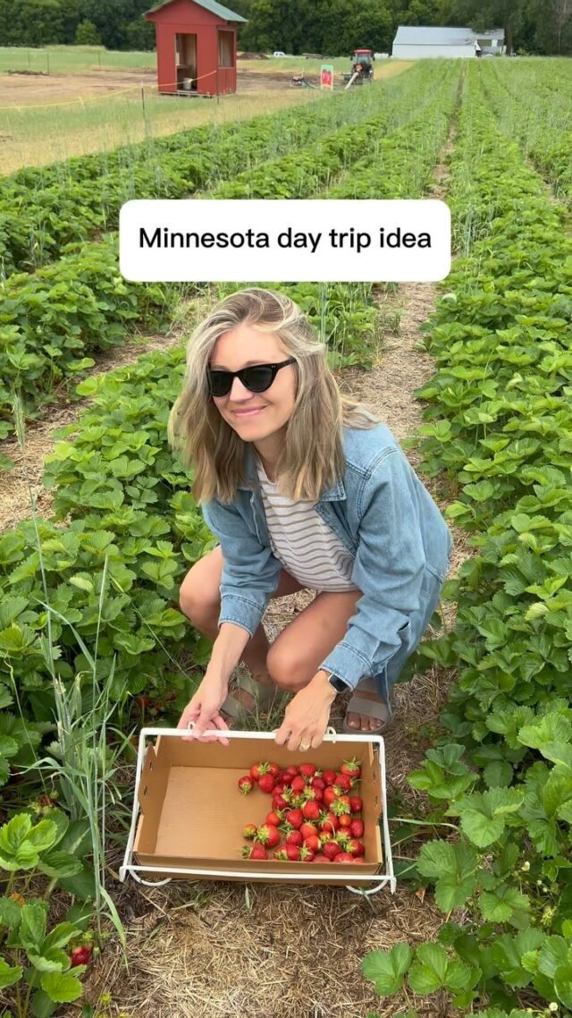 Details here! 👇

🍓 @berryhillfarms - berry picking season is in full swing! Check out their Facebook page for details on opening times. 
🥪 @herbanwolfdeli 
🍺 @10kbrewing 
🍦 @two_scoops_icecream 

@lindseyranzau 

#minnesota