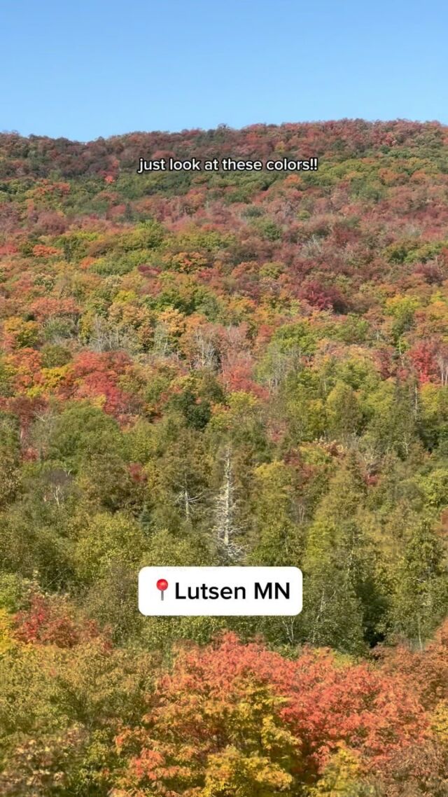 Videos are from 9/21 so colors will be PRIME this weekend and next! 

Our first time riding @lutsenmountains summit express gondola in the fall and we looooved it 🚠 🍁 🍂 

Tickets are $29 for adults and $21 for kids ages 6-15. 5 and under are free. Either reserve online ahead of time or purchase on site. 

Make sure to grab a beer and some food at the summit chalet to enjoy while looking over Lake Superior. And don’t miss the lookout for more epic views! 

#lookaboutlindsey #minnesota