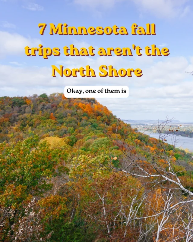 Our fav day trips and weekend trips we’ve taken over the last 8 years all across Minnesota! 

Comment FALL and I’ll send the itineraries for each spot to your DMs 🍁 (may not work if you’re seeing this on Facebook! Still trying to figure that out 😆 but I’ll post separately!)

Here’s the quick list! 
🍁 Red Wing
🍁 Montgomery
🍁 Winona
🍁 Taylor’s Falls
🍁 Lutsen
🍁 Stillwater
🍁 St. Cloud
